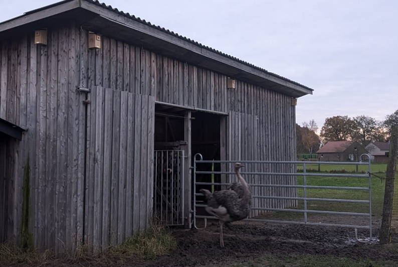RB24_AL_Erlebnistreffpunkt im Grünen - Straußenfarm Tonnenheide